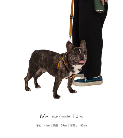 MANDARINE BROTHERS クラシックリード/CLASSIC LEASH
